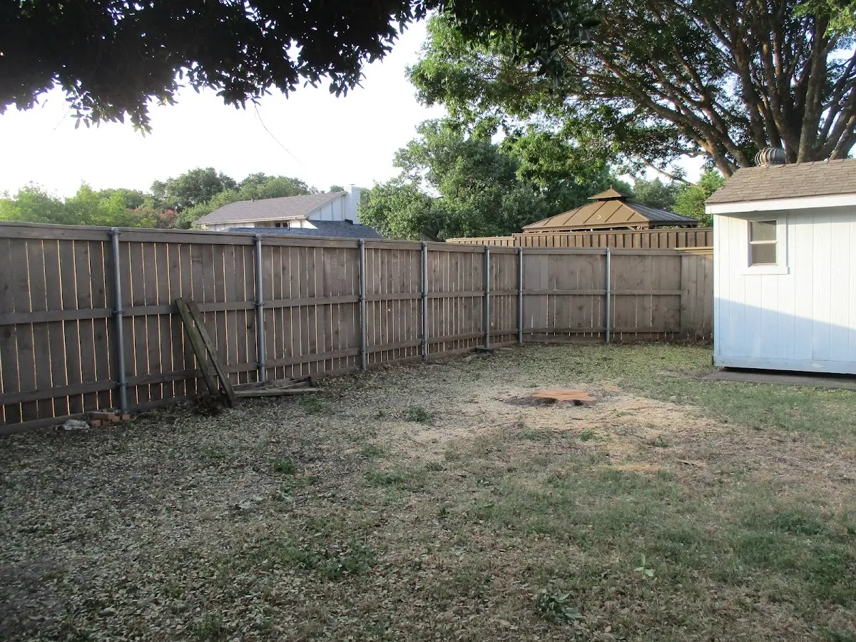 Cleared yard after professional tree removal in Pall Mall